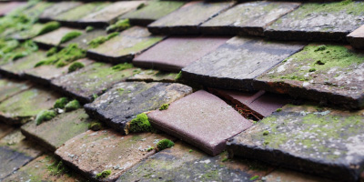 Waddesdon roof repair costs